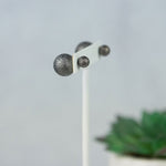Double Stud Earrings