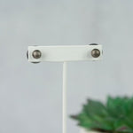 Double Stud Earrings