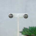 Double Stud Earrings