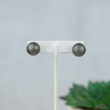 Double Stud Earrings