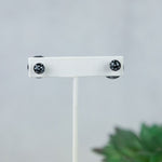 Double Stud Earrings