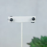 Double Stud Earrings