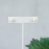 Double Stud Earrings