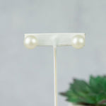 Double Stud Earrings