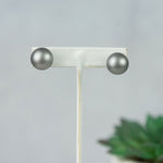 Double Stud Earrings