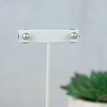 Double Stud Earrings